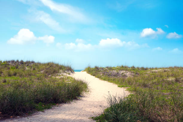 Australia, south of Perth, man walking to water.
