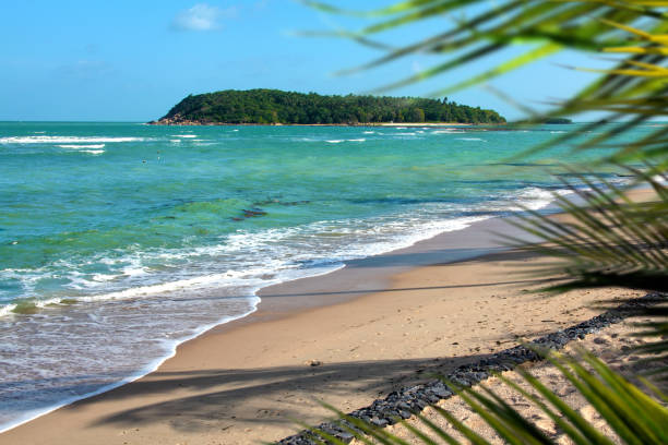 Empty tropical sandy beach in Koh Samui, Thailand