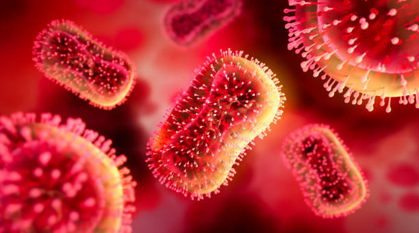 illustration du virus de la variole du singe - virus pox photos et images de collection