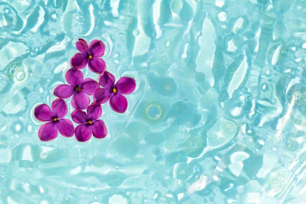 istock Five lilac flowers in aqueous oil solution 1404257320