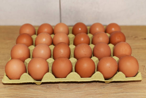 Chicken egg in box. Natural organic eggs in cardboard package on table in kitchen. 24 eggs in pack. Eggs for breakfast. Cooking an omelet and scrambled eggs from a chicken egg.