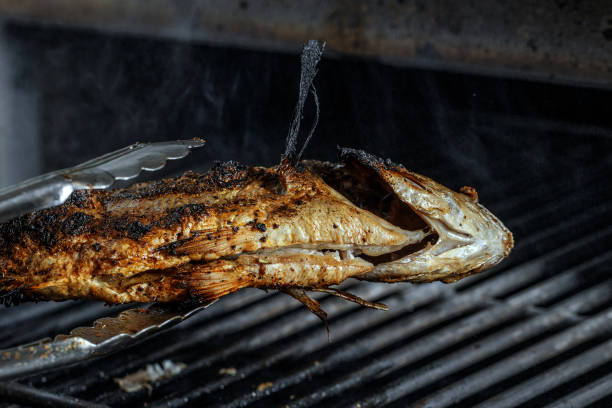 process of grilling whole Sea Bream fish on a barbecue grill over hot coal. Grilled Dorado