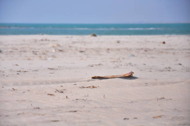 istock Sand on ocean background at Arichal Munai 1404265462