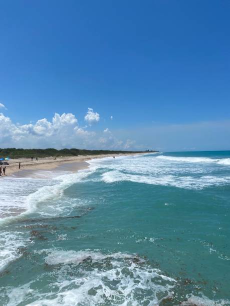 istock Ocean Beach with Green Waters 1404266338
