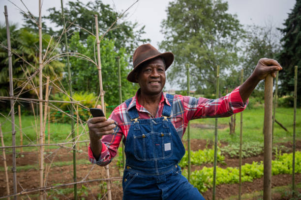 istock African farmer in the fields uses his smartphone, technology at work in the fields. 1404270412