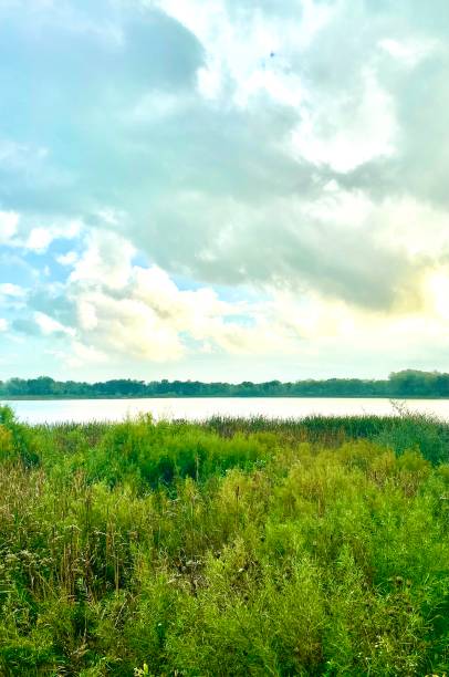 Green Meadows Meet Hazy Blue Sky Over Lake