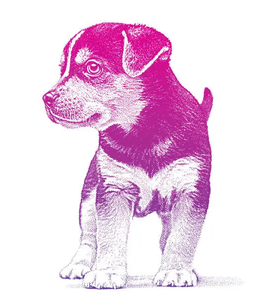 Vector illustration of Beagle dog puppy hoping to be adopted