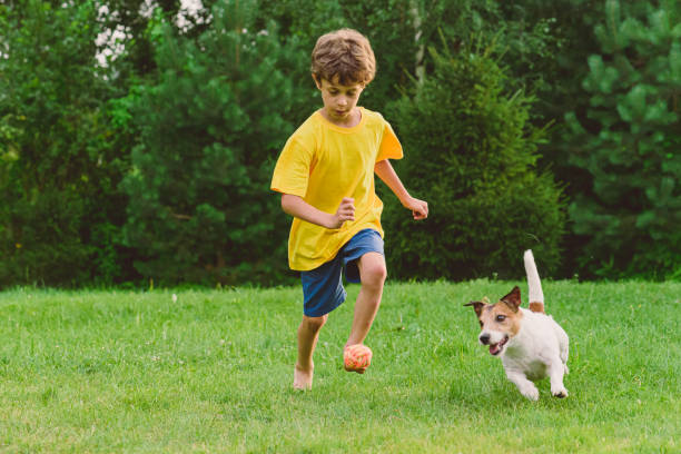 サッカー選手になりたい男の子は、サッカーボールの代わりにペットのおもちゃを使って犬とサッカーを訓練し、サッカーをします ストックフォト