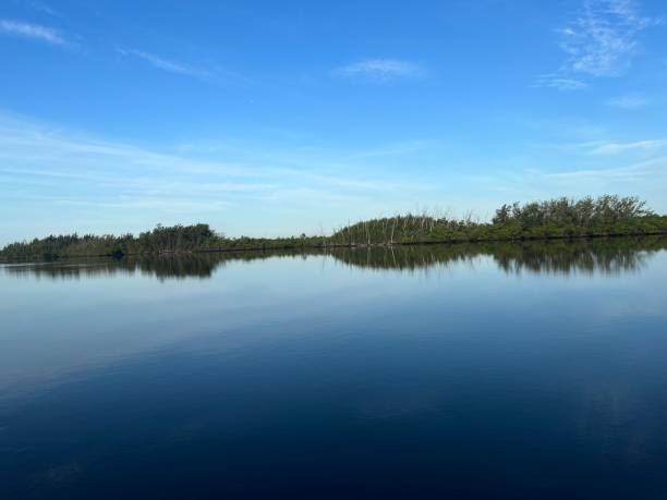 istock Hollywood beach park Miami Florida 1404275238
