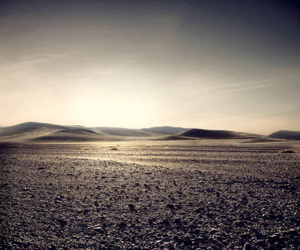 Atacama Desert Landscape in a natural state