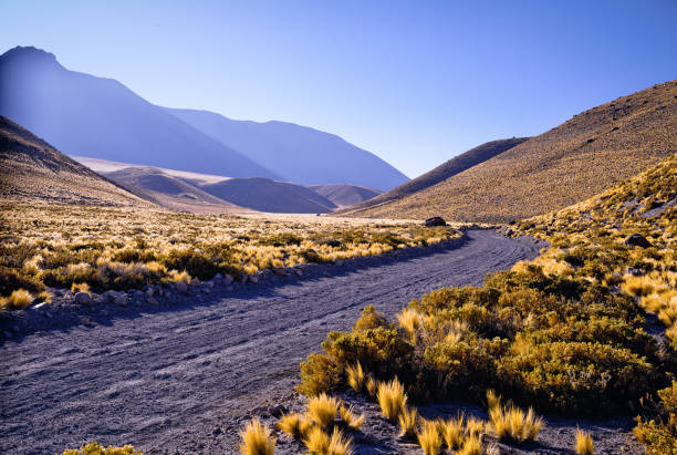 istock Atacama Desert Landscape in a natural state 1404276941