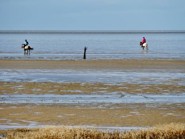 istock Riders at the Nordseewatt 1404279014