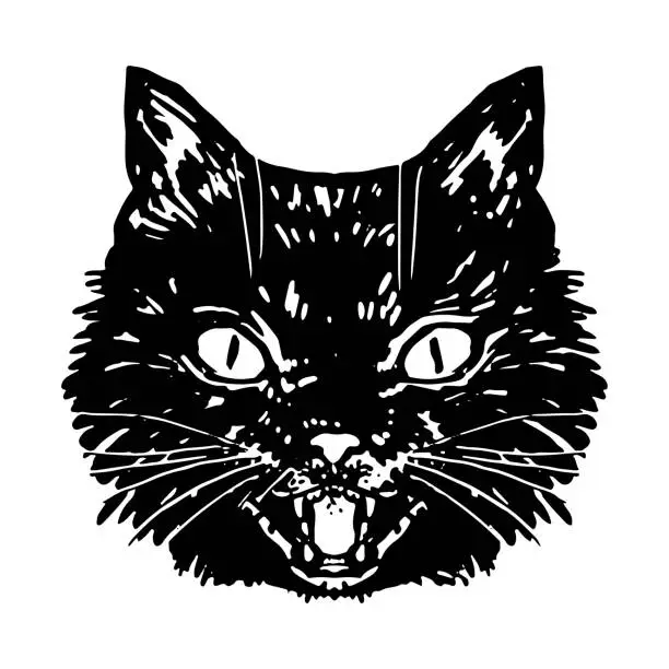 Vector illustration of Angry black cat face. Hissing cat halloween vector illustration. Realistic ink sketch of witch familiar animal. Clipart for decor isolated on white.