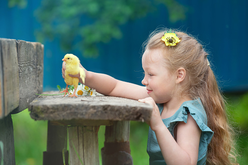 a girl with long blonde hair plays on a bench with a yellow chicken, summer day