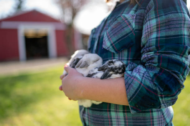istock Sleepy baby bunnies 1404284438