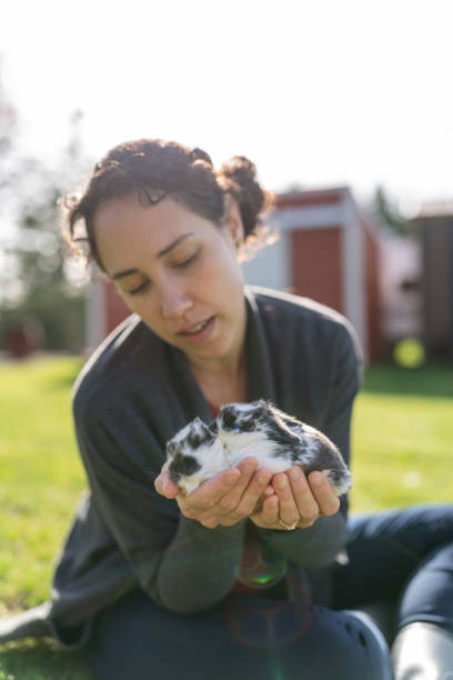 istock Pet baby bunnies sleeping in woman's hands 1404284457