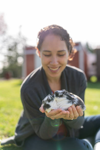 istock Pet baby bunnies sleeping in woman's hands 1404284463