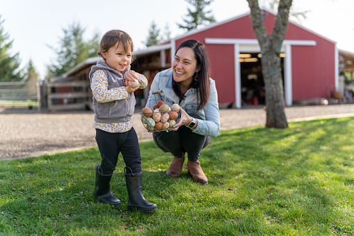istock Mother and daughter gathering chicken eggs on their farm 1404284468