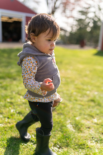 An adorable multiracial toddler girl wearing black rubber rain boots walks through the grass while playing outside in the backyard on a warm and sunny spring day. A red barn is visible in the background.