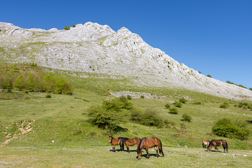 Kurutzeta mountain and surrounding area in Urkiola natural park in the Basque Country (Spain)