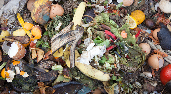 organic waste to make compost