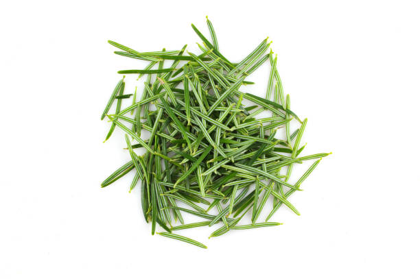 istock Pile of green spruce needles isolated on white background 1404291238