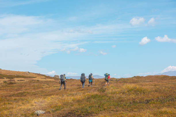 mehrere touristen mit großen rucksäcken und trekkingstöcken folgen der route irgendwo im altai-gebirge. gruppe von menschen mit großen rucksäcken im herbst bergwanderung. russland, republik altai, 26. august 2021 - treking poles stock-fotos und bilder