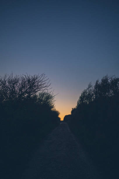 istock Scenic view up dirt road, at sunrise 1404302945