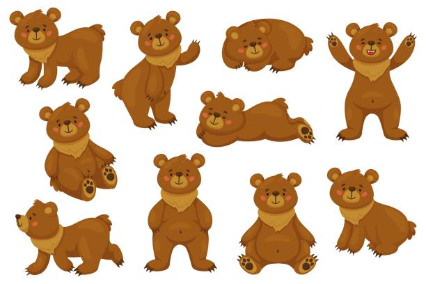 bildbanksillustrationer, clip art samt tecknat material och ikoner med cartoon brown bear. funny animal in different poses, sitting lying and standing. happy forest character, cute big comic grizzly collection, danger wild mammal, recent vector isolated set - familjen brunbjörn