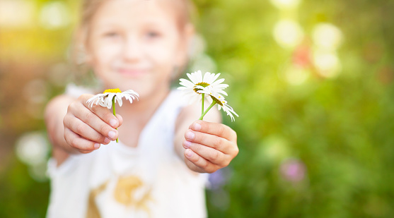 the background where the little girl is holding out daisies in her hands