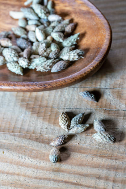 istock chinese medicine Fructus xanthii on wooden table 1404307699