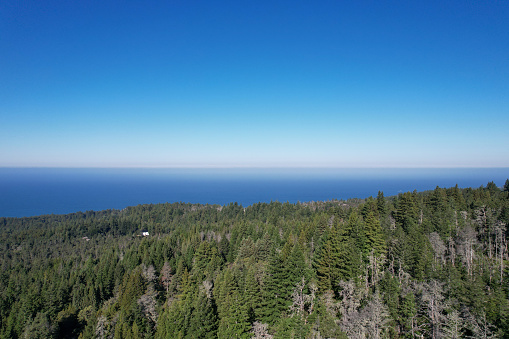 Aerial drone view of Northern California coast with forest and Pacific Ocean on a sunny day.