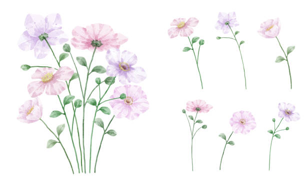 istock A set of flowers painted in watercolor for designer work create 1404314258
