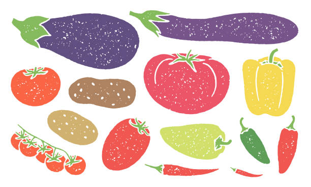 거친 질감의 밤그늘 야채와 과일 - multi colored vegetable tomato homegrown produce stock illustrations