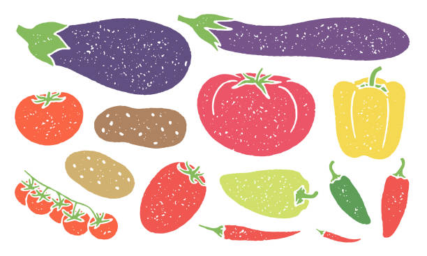 warzywa i owoce psiankowate o ziarnistej konsystencji - plum tomato obrazy stock illustrations