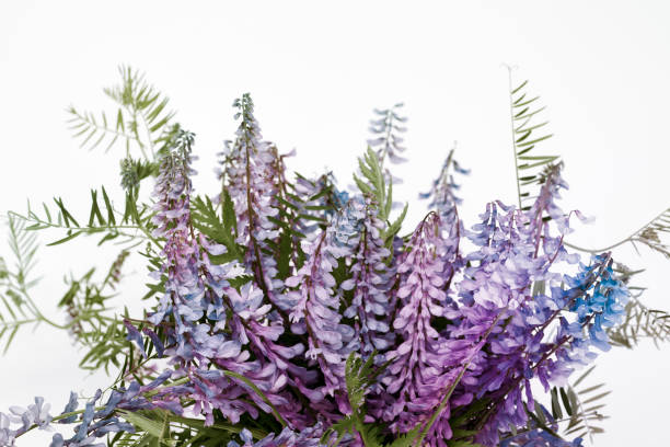 On the brown table we see a vase with multicolored wild flowers, white, purple, orange, red and green leaves. Located in California, during Summer Season of 2025.