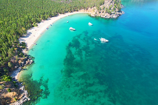 Beautiful sandy beach on a sunny summer day. Yachts near the shore and in the bay, tourists sunbathe on the beach. Aerial view
