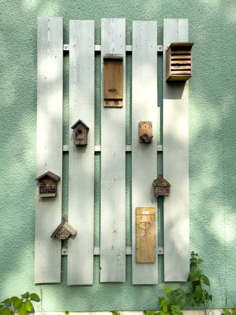 istock on a house wall hang various insect hotels 1404324723