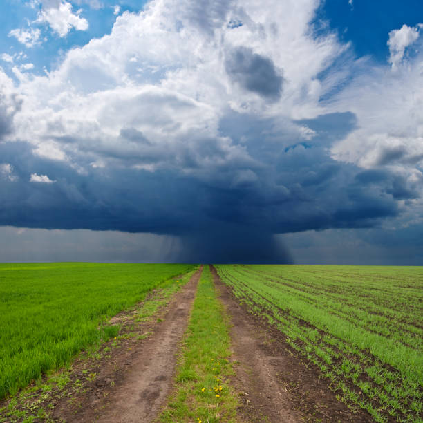istock green rural field before a rain 1404325591