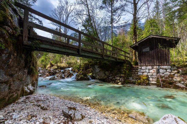 istock In the Zauberwald, enchanted forest, near Ramsau 1404328058