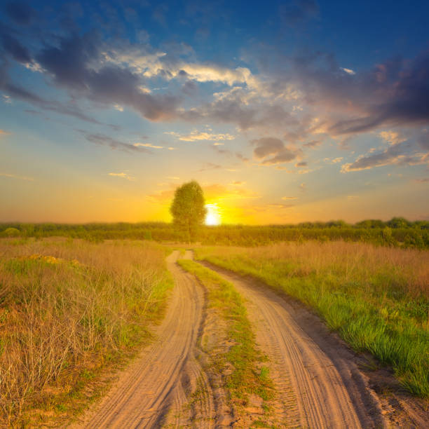 istock road in a steppe at the sunset 1404328894