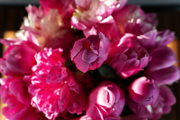 istock Closeup peony bouquet in vintage tone 1404330342