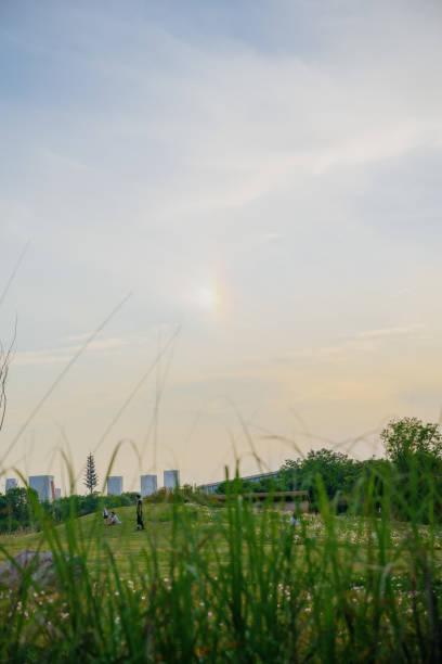 istock Rivers and meadows at dusk 1404332798