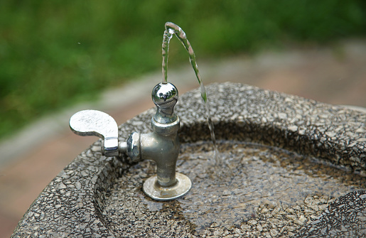 Water fountain in the park on a sunny day