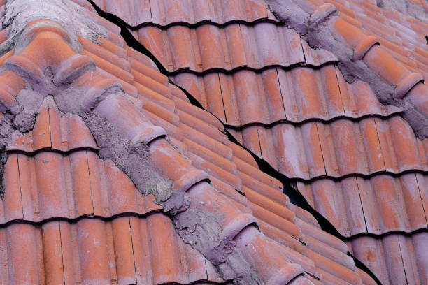istock tile roof and grunge roof 1404342555