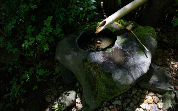 Hand-washing in the garden