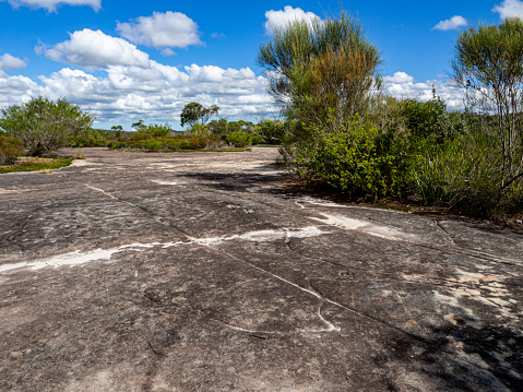 Sacred Australian Aboriginal Carving site