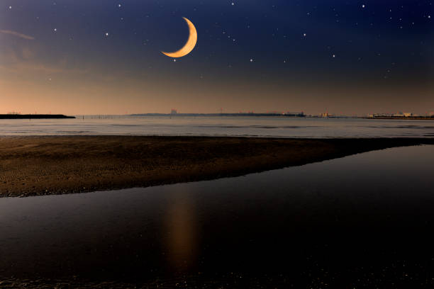 the French Mediterranean coast on wild Camargue