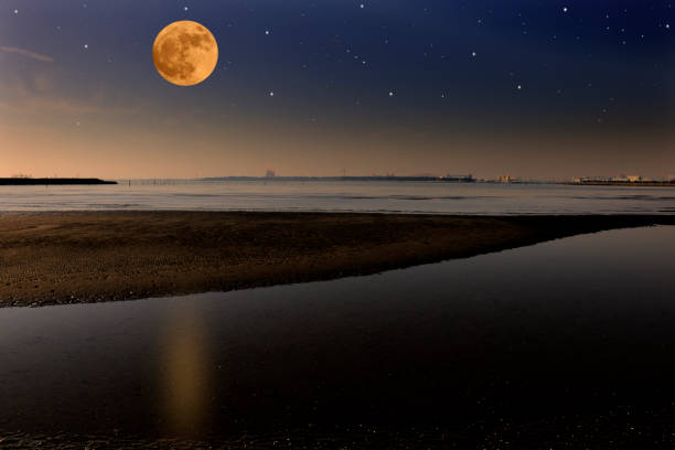 Full moon rising over the Tokyo bay area with copy space.
