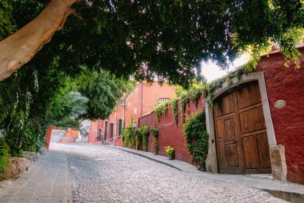 istock Alameda Park in San Miguel de Allende 1404346431